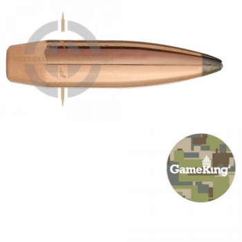 Sierra GameKing 2165 Geschoss